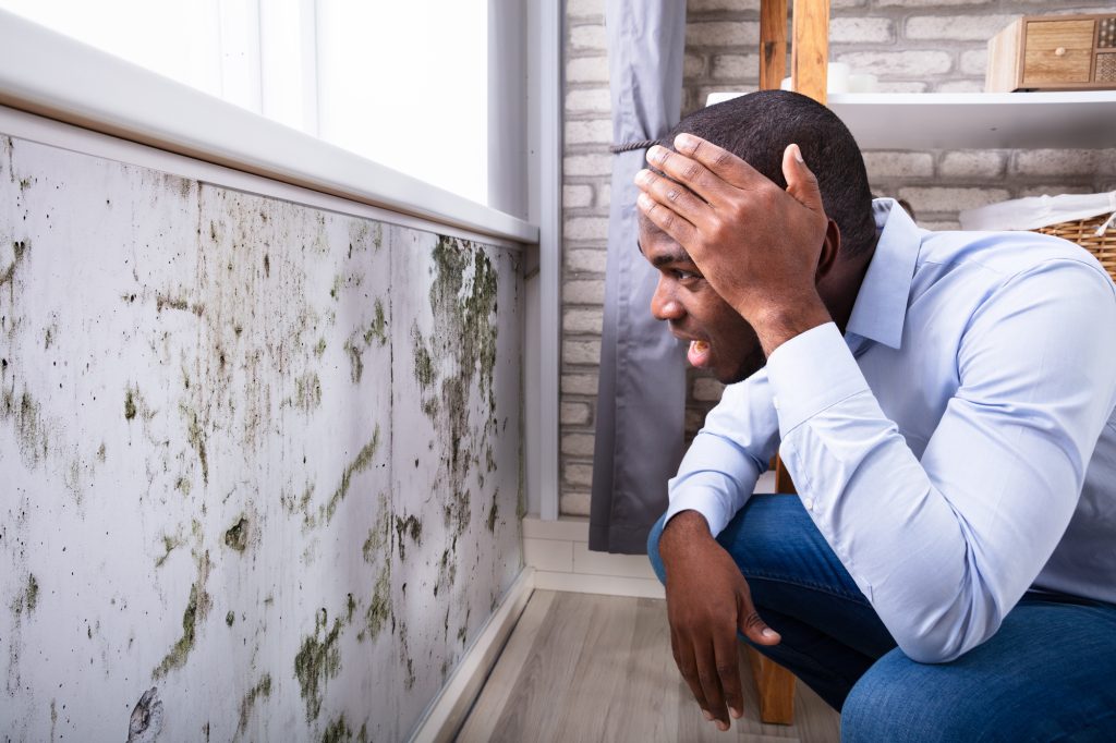 shocked man looking at mold on wall